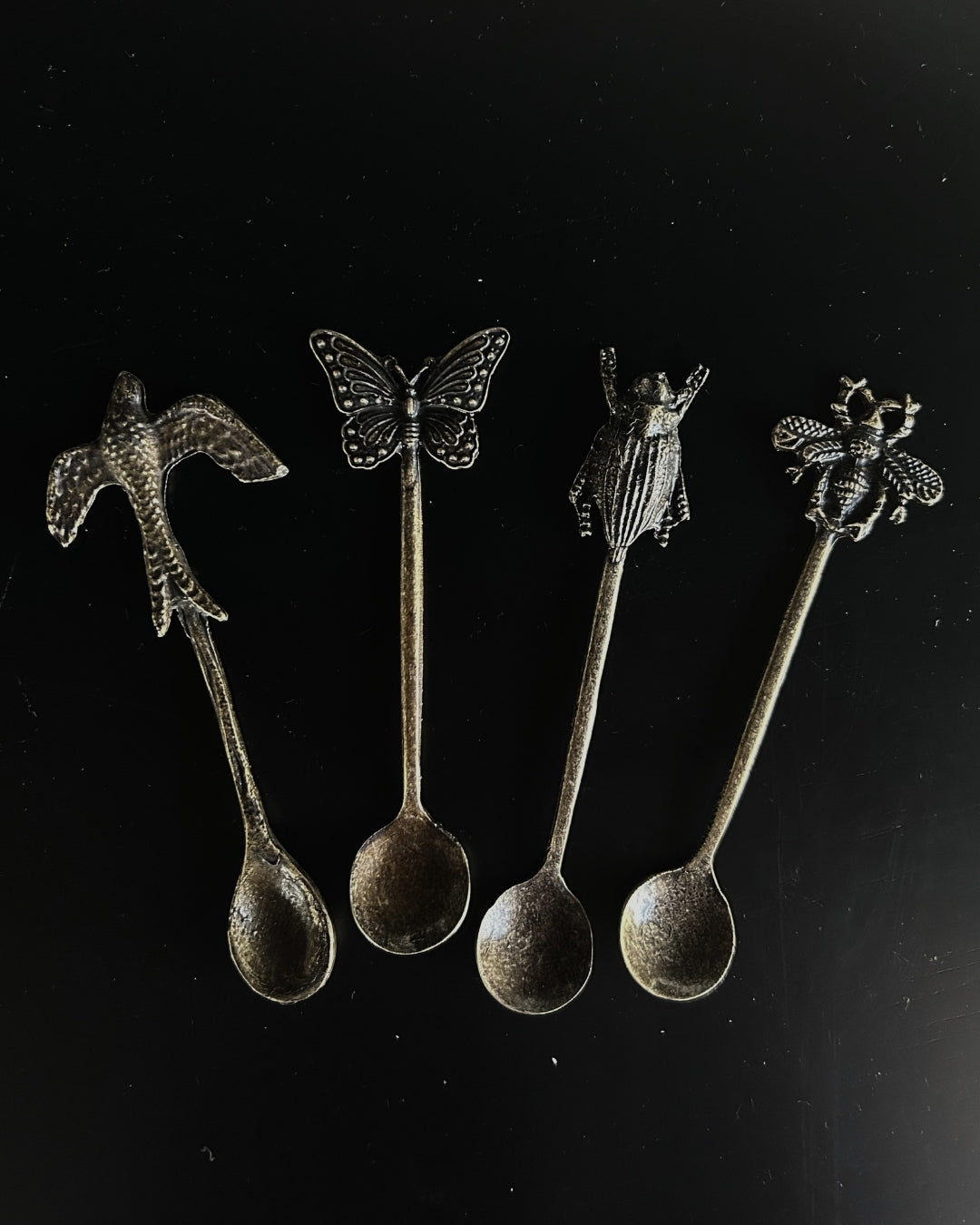 Set de 4 Cucharas Insectos