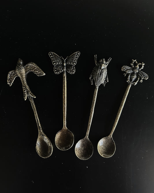 Set de 4 Cucharas Insectos