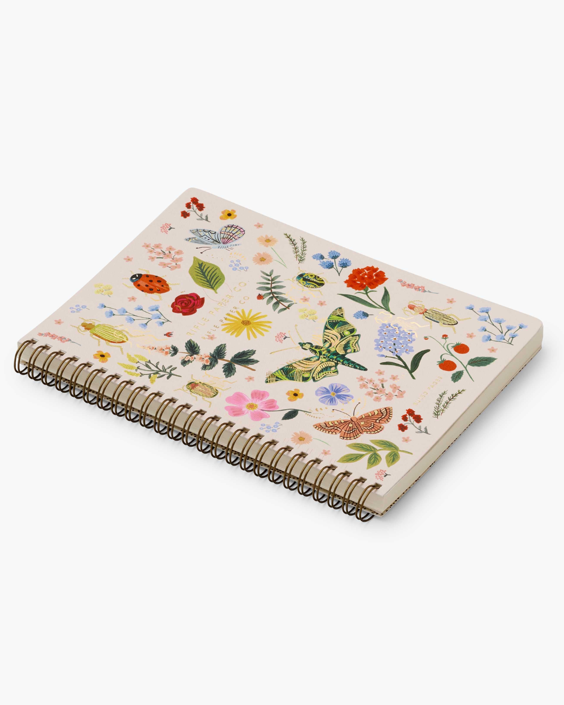 Cuaderno de Espiral Curio