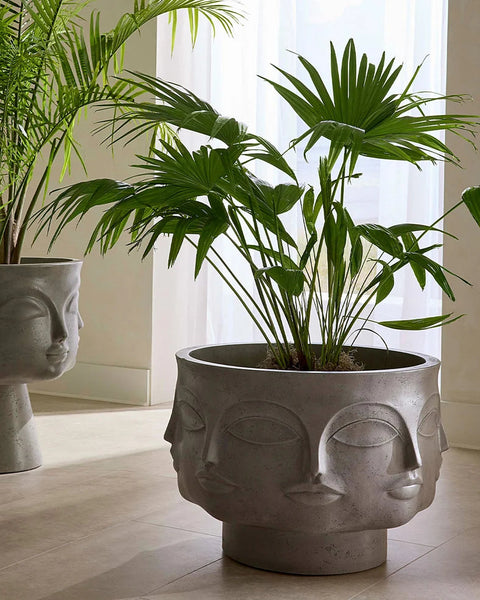 Dora Maar Low Planter