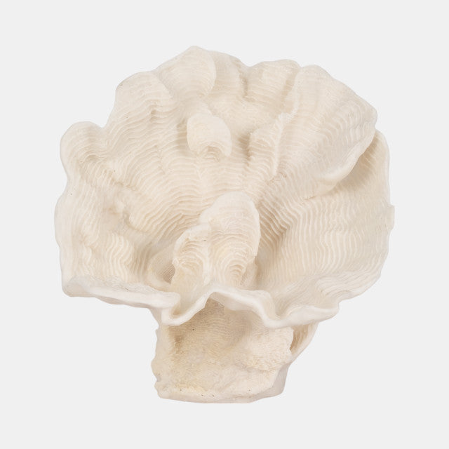 Escultura de Coral Fan Ivory