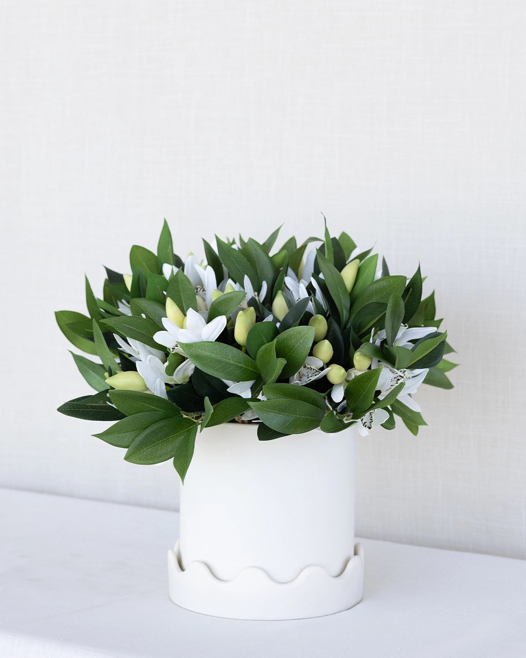 Orquídea Barco