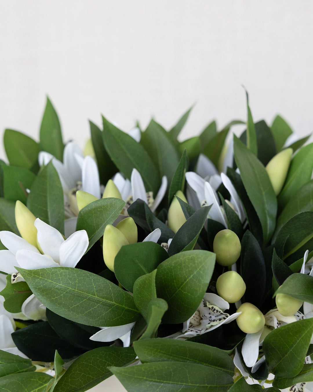 Orquídea Barco