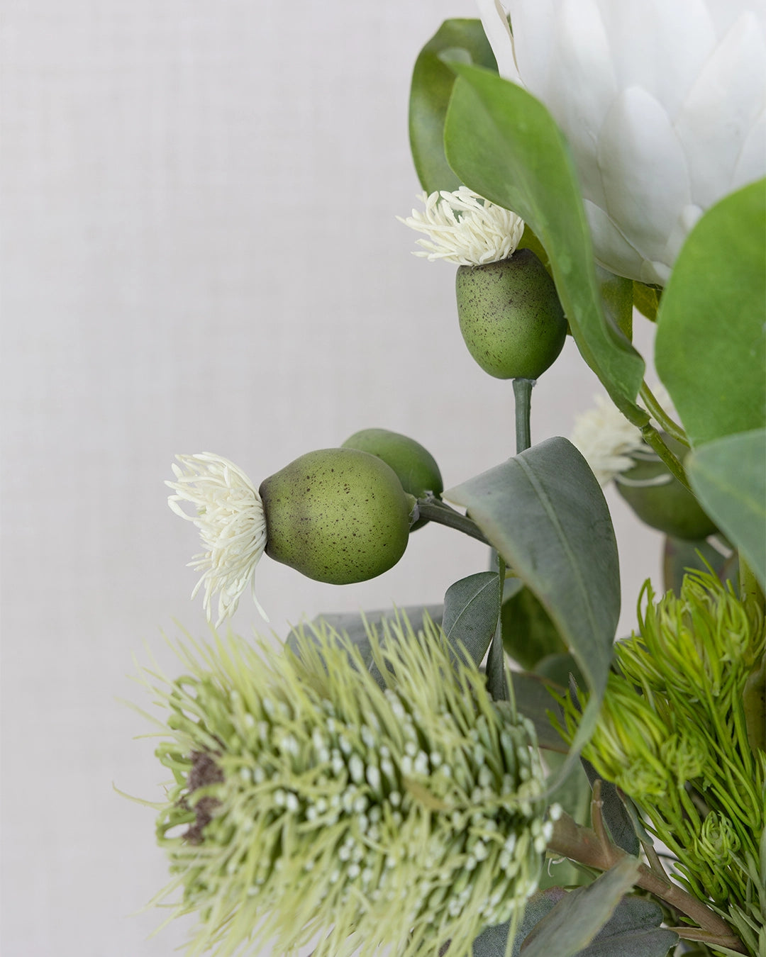 Protea