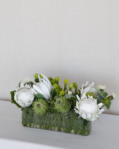 Protea