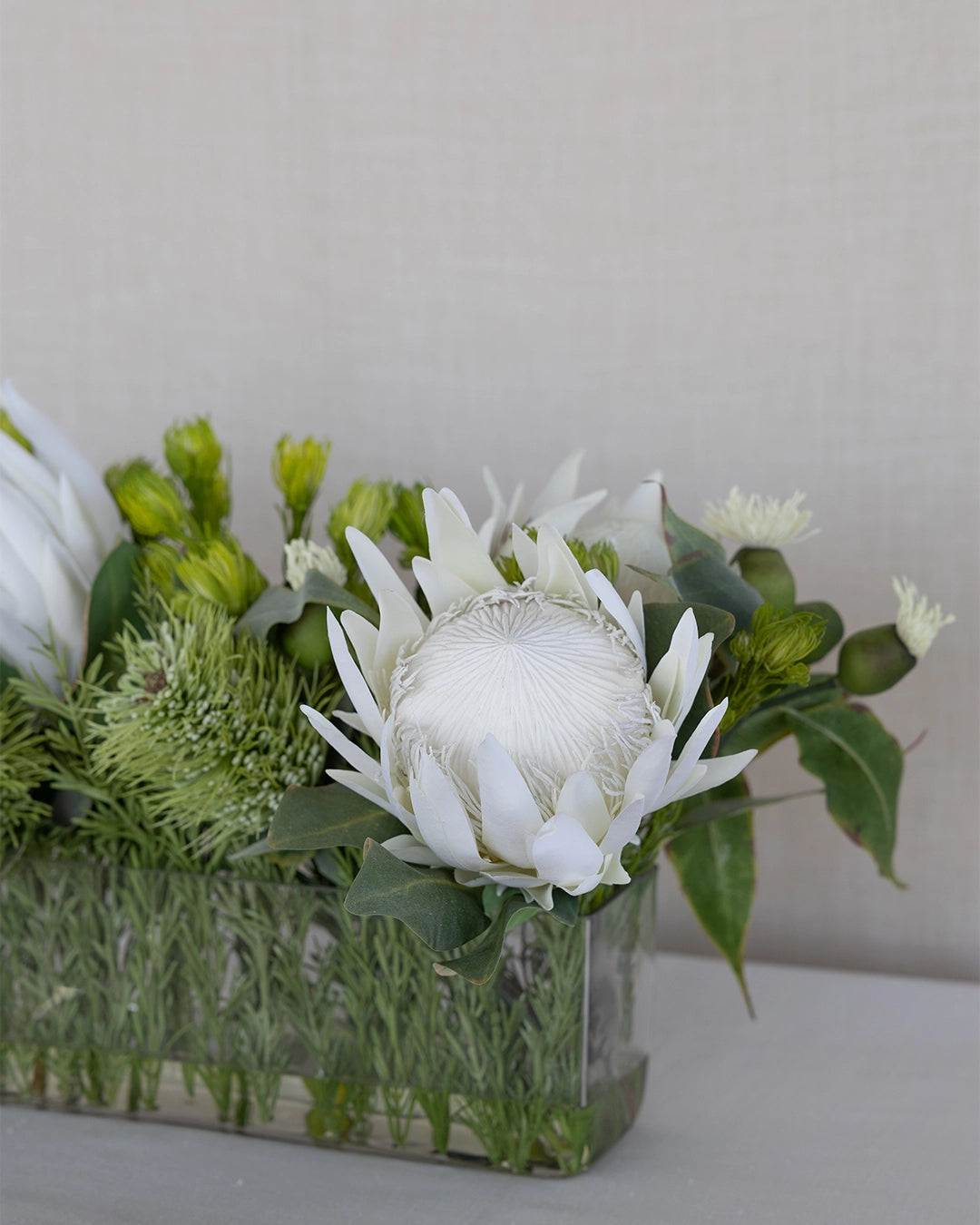 Protea