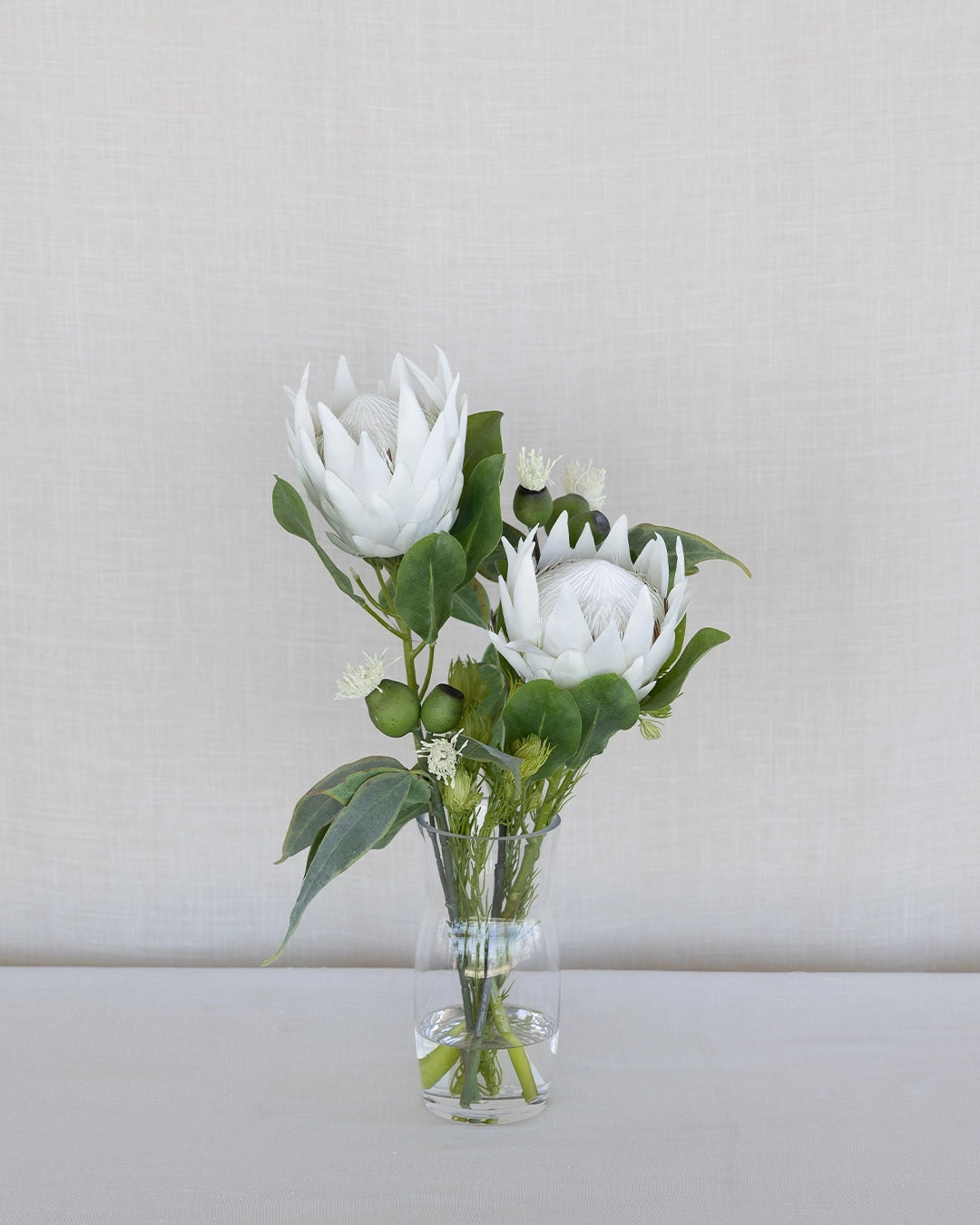 Protea