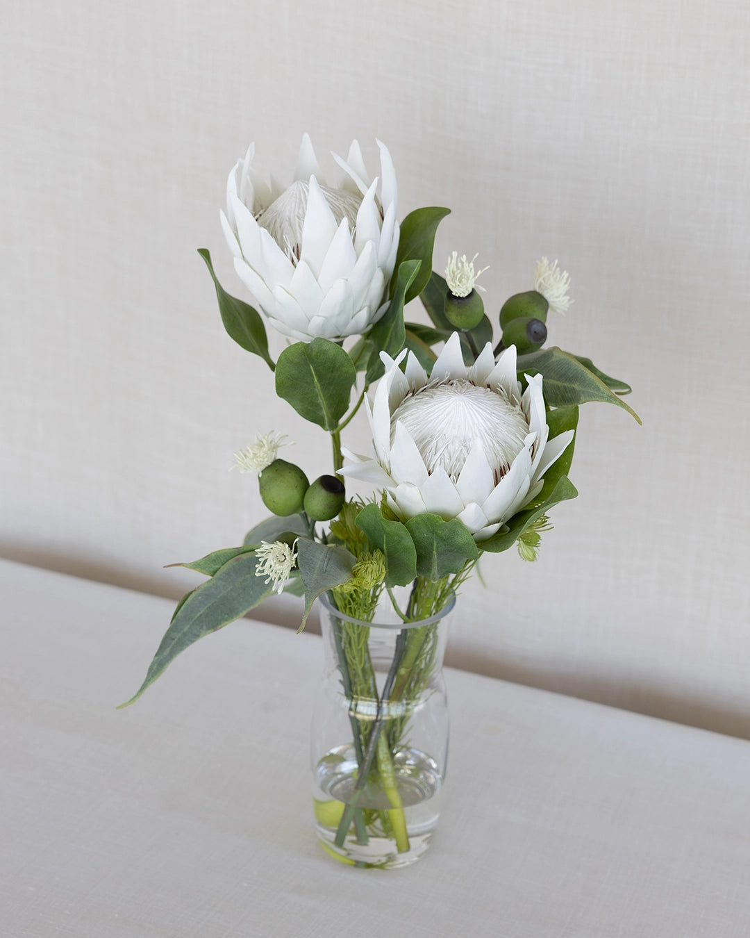 Protea