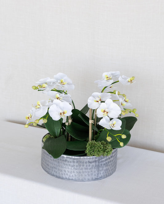 Arreglo de Orquídea Chico