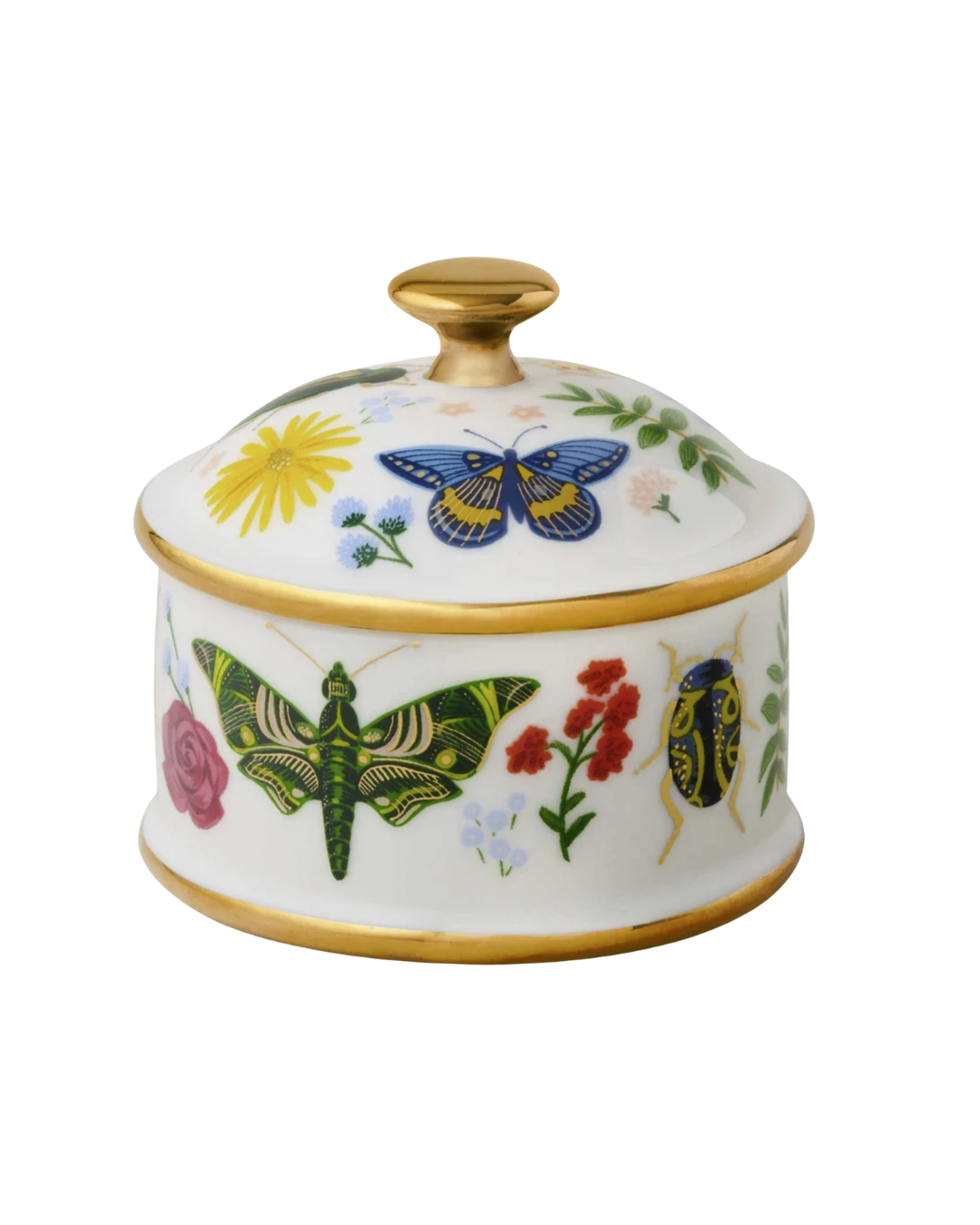 Joyero con Tapa Curio