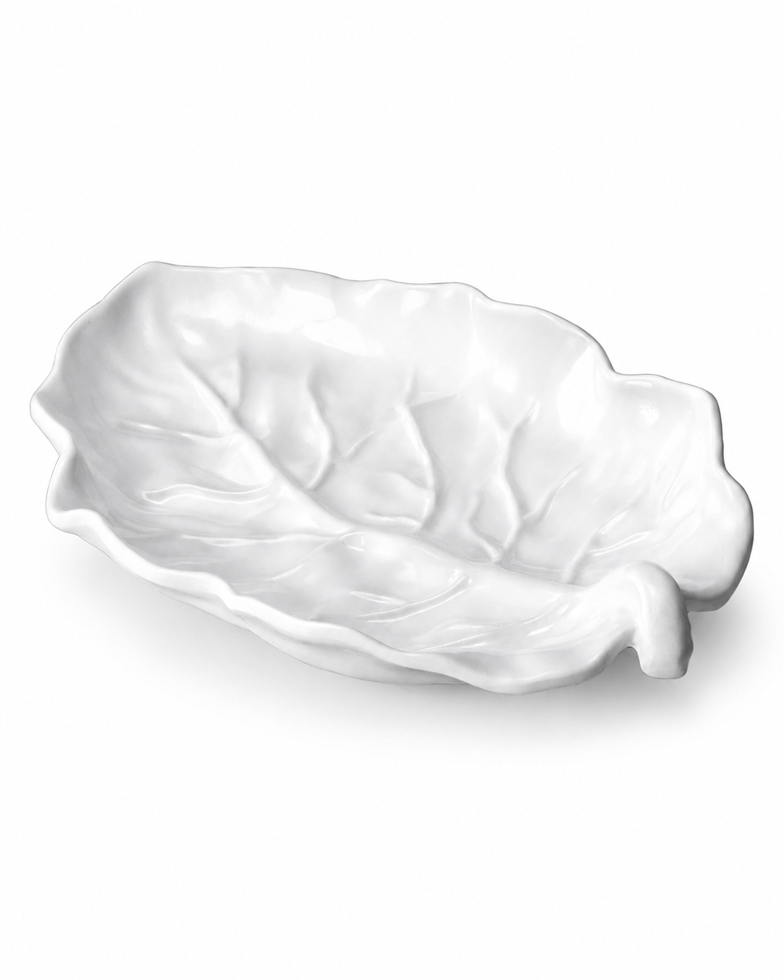 Lettuce Platón Hoja Mediano Blanco