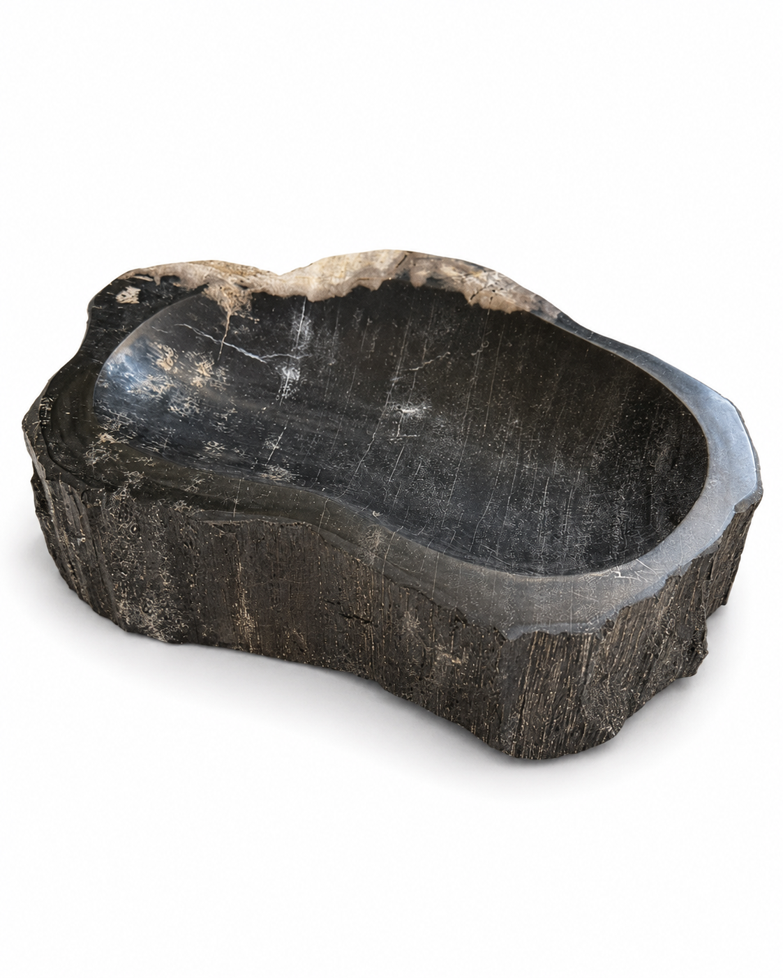 Madera Petrificada Tipo Plato