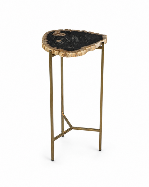 Mesita de Madera Petrificada