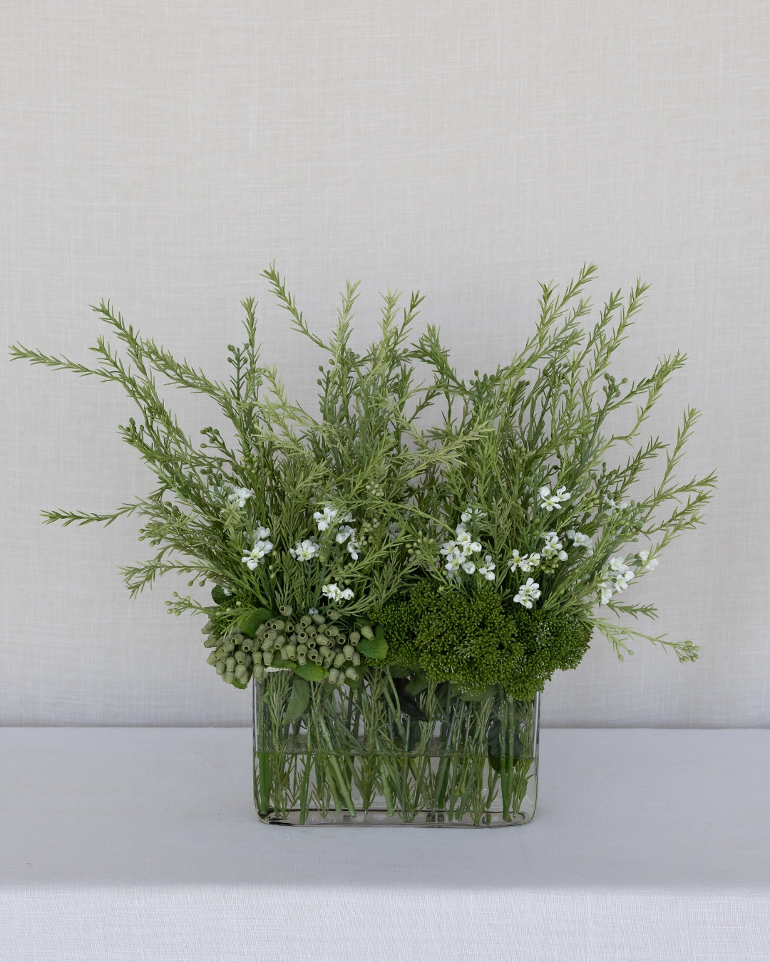 Plantas de Arreglo