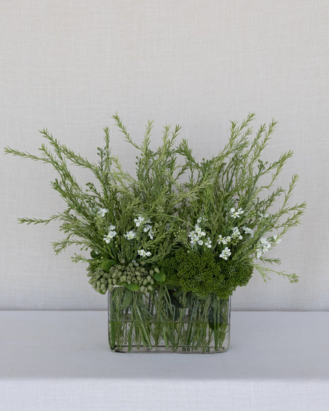 Plantas de Arreglo