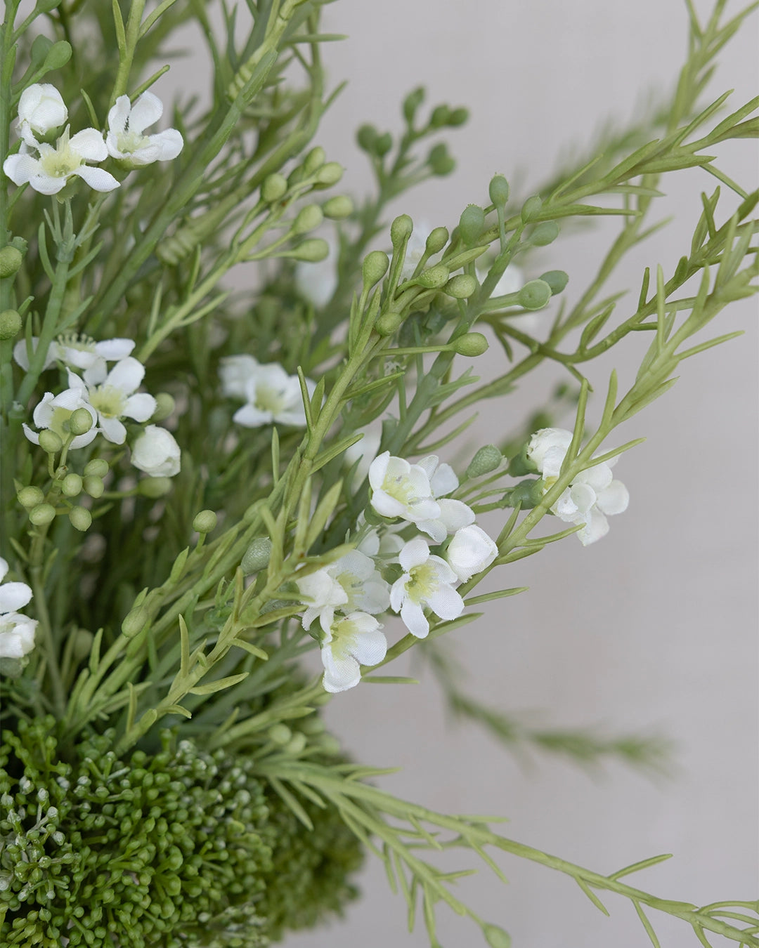 Plantas de Arreglo