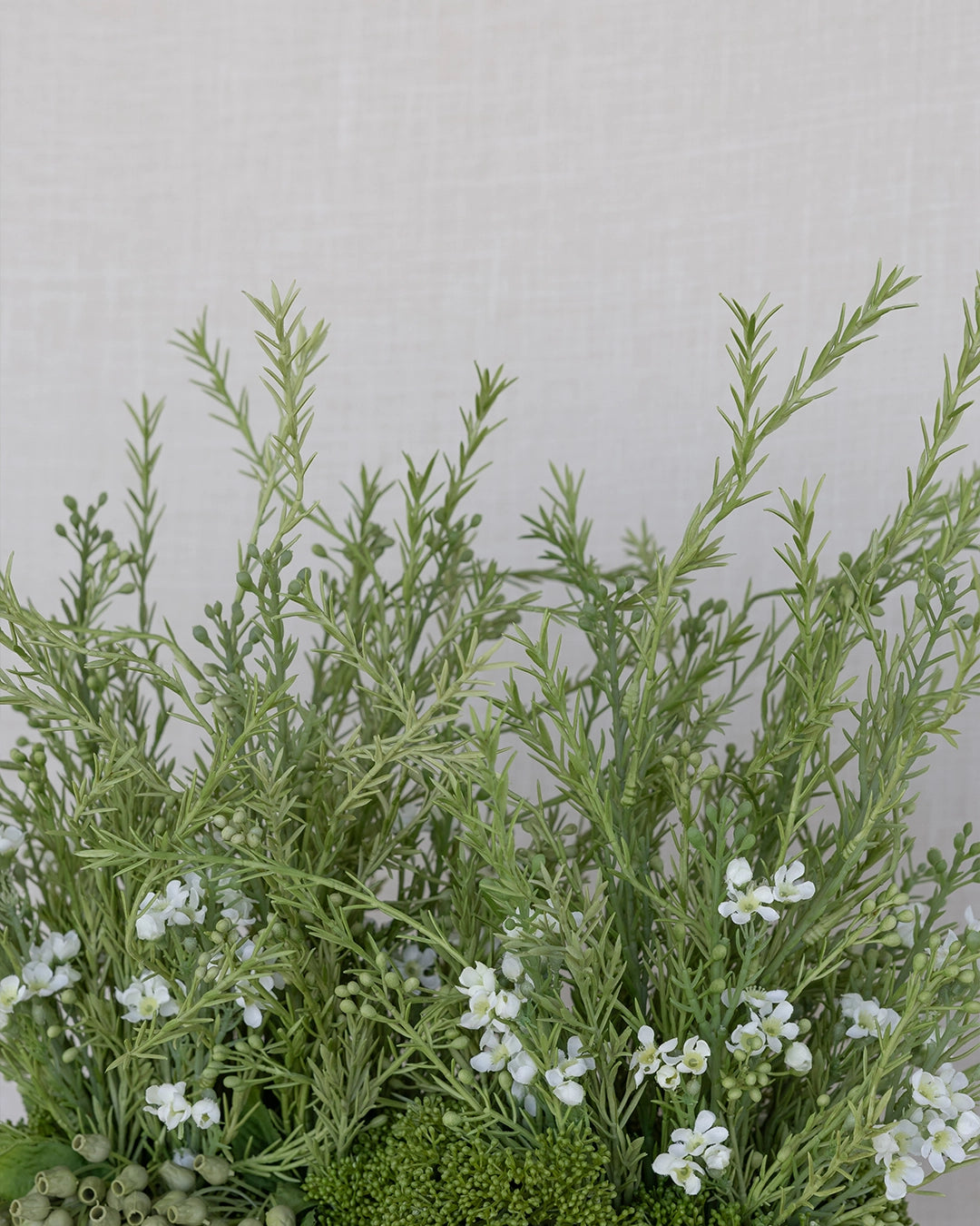 Plantas de Arreglo