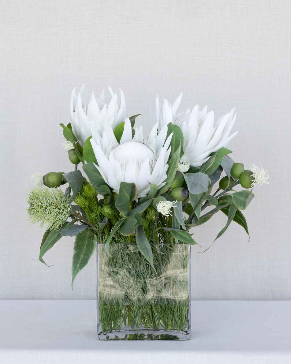 Protea