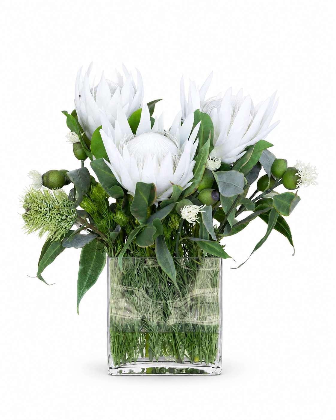 Protea