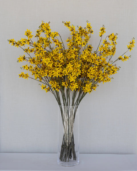Rama Individual de Forsythia