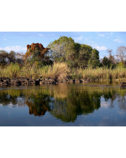 Río Zambeze 2