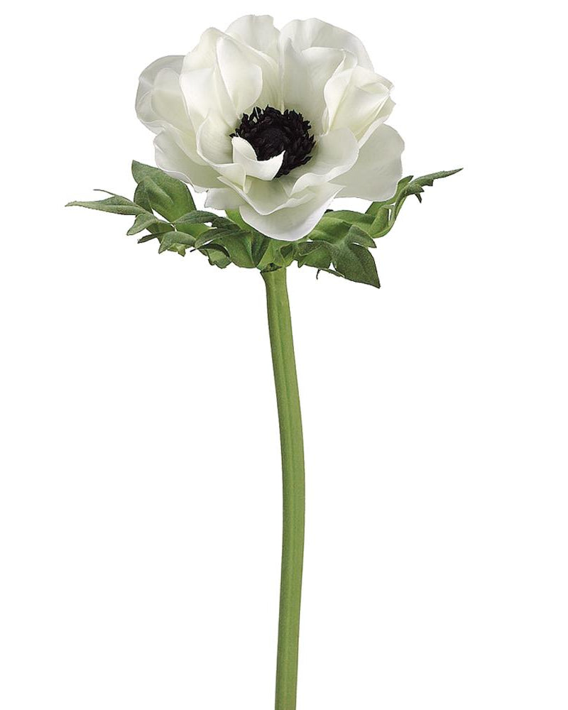 Rama Anémona Blanca