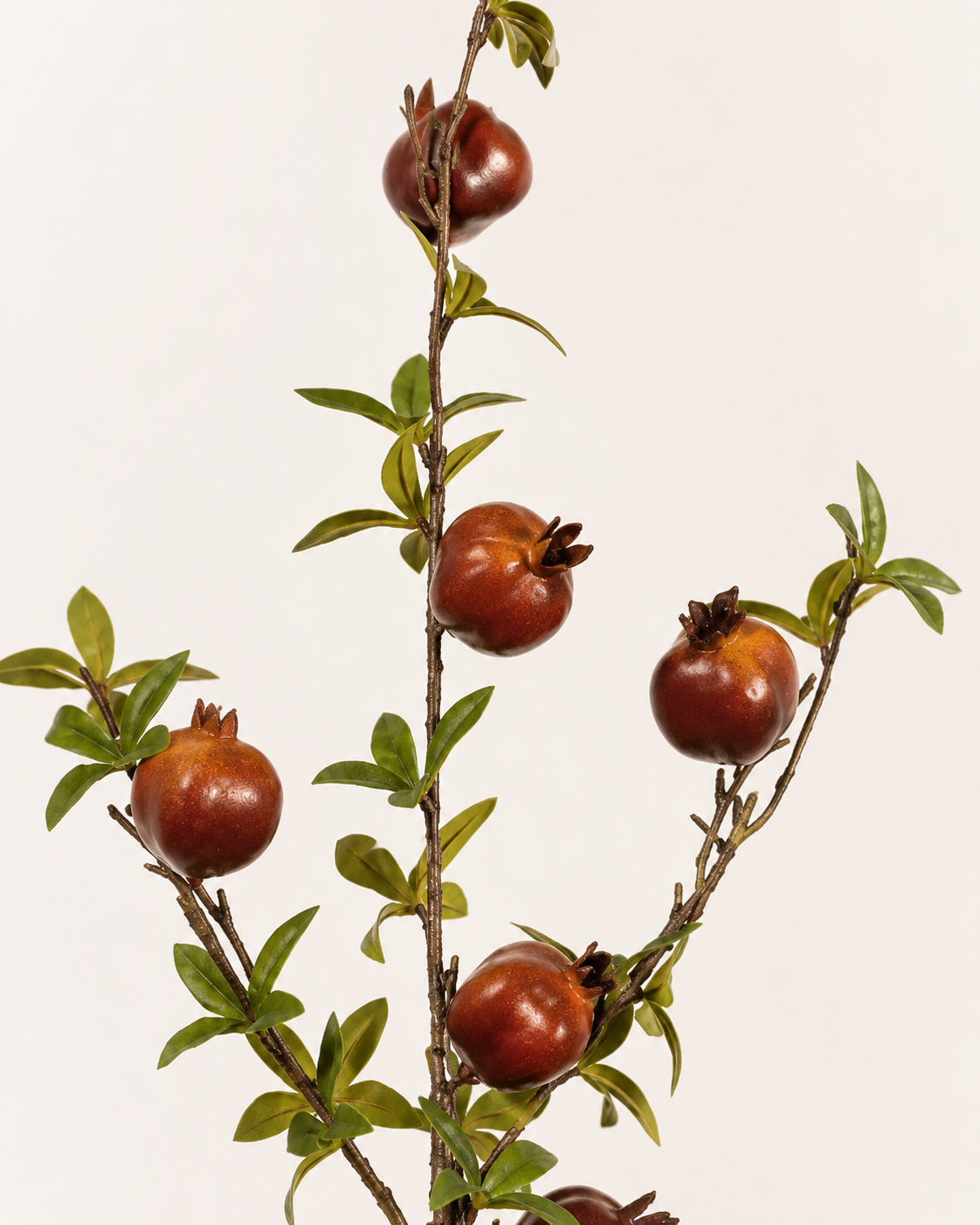 Rama Pomegranate Café
