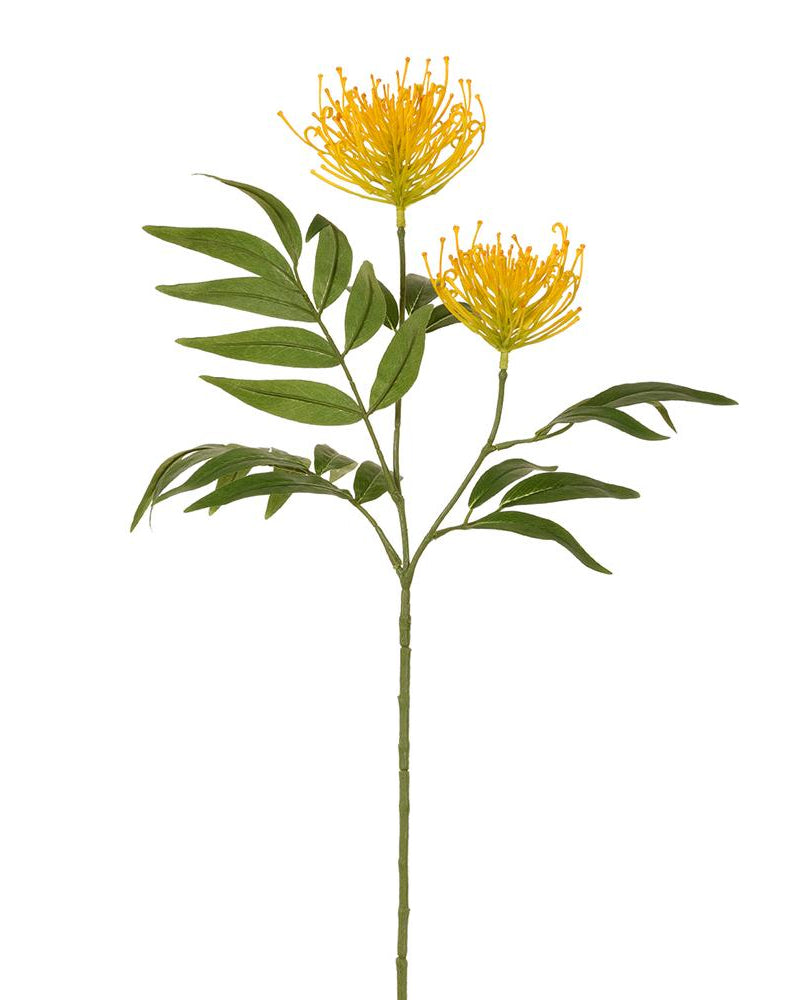 Rama Protea Amarilla