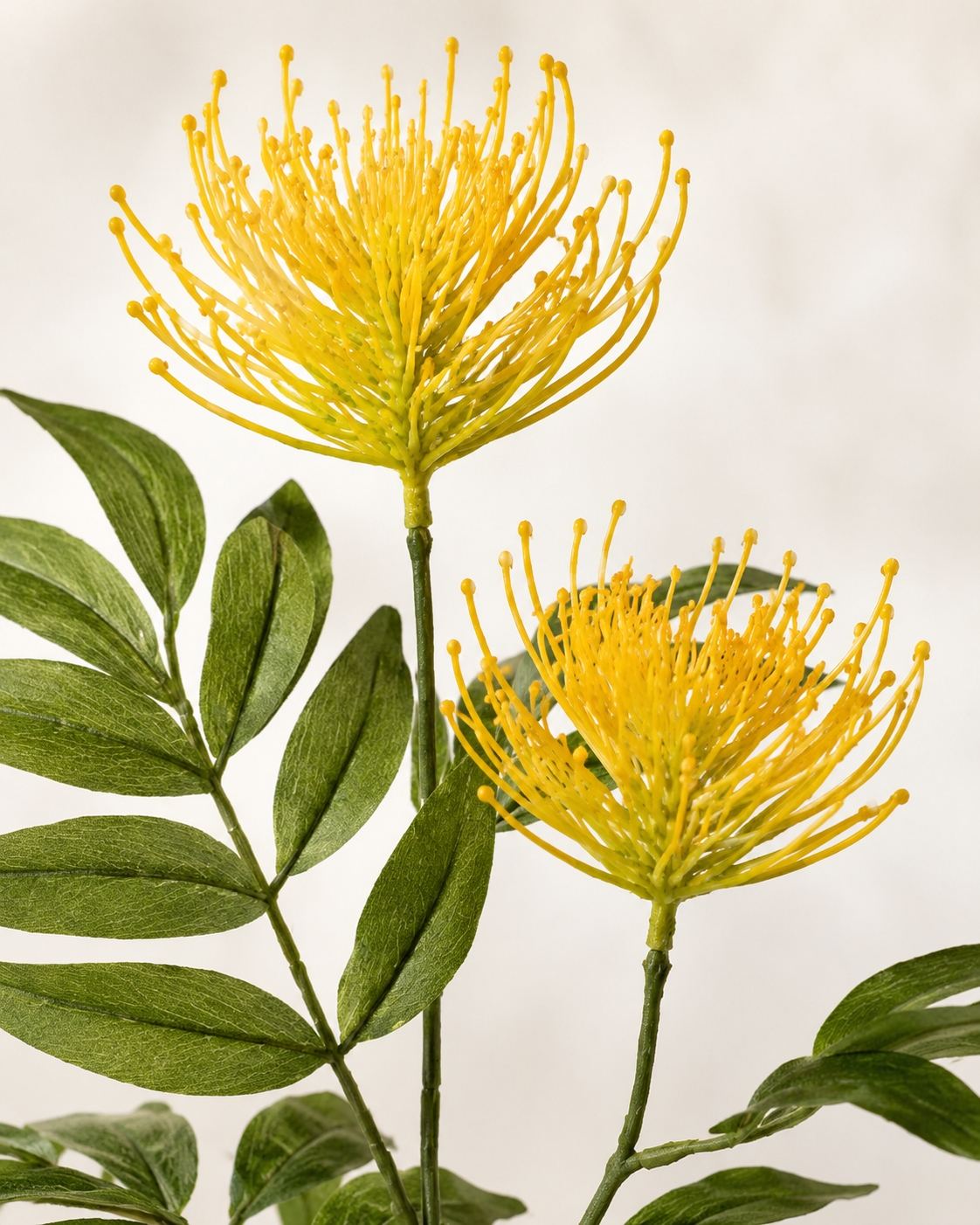 Rama Protea Amarilla