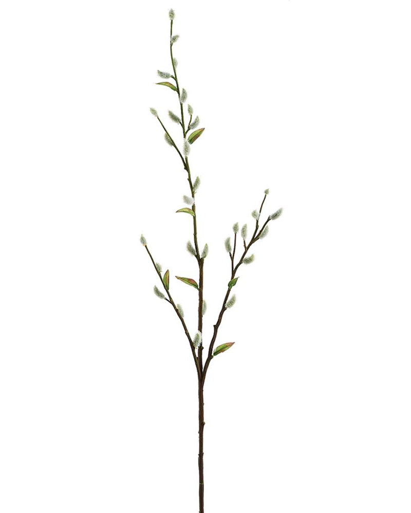 Rama Sauce Pussy Willow Gris