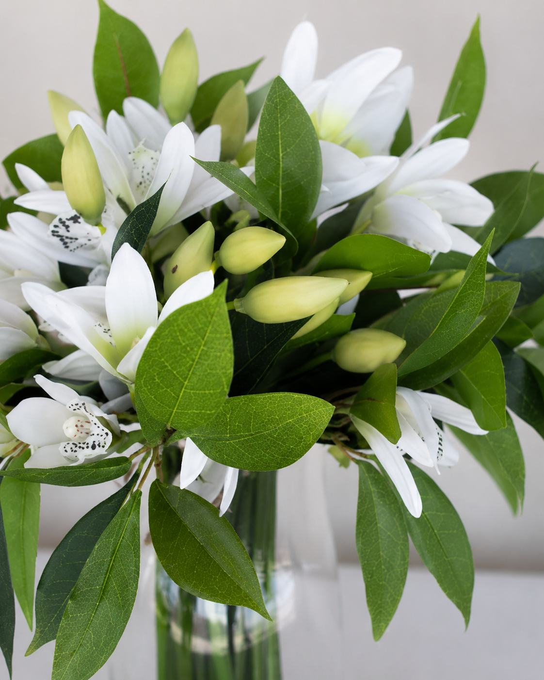 Ramo de Orquídea Barco