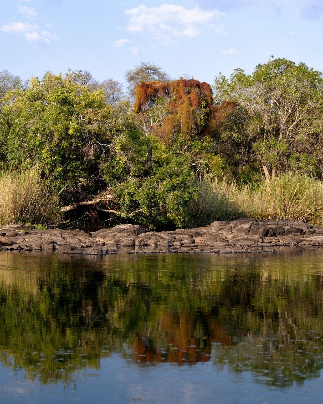 Río Zambeze 1