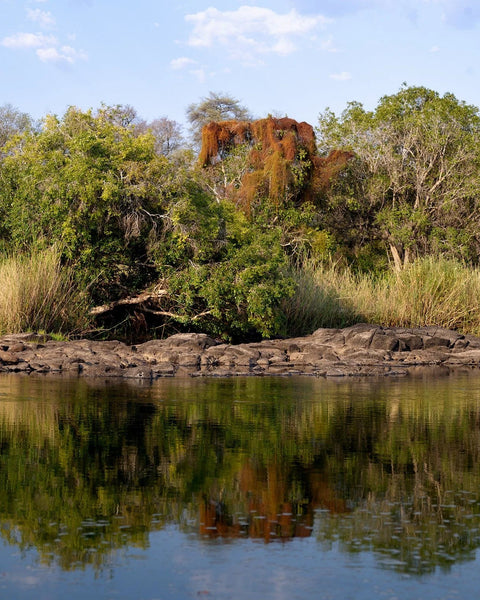 Río Zambeze 1