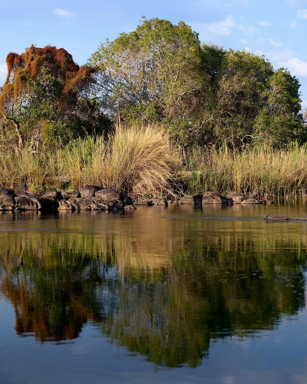 Río Zambeze 2