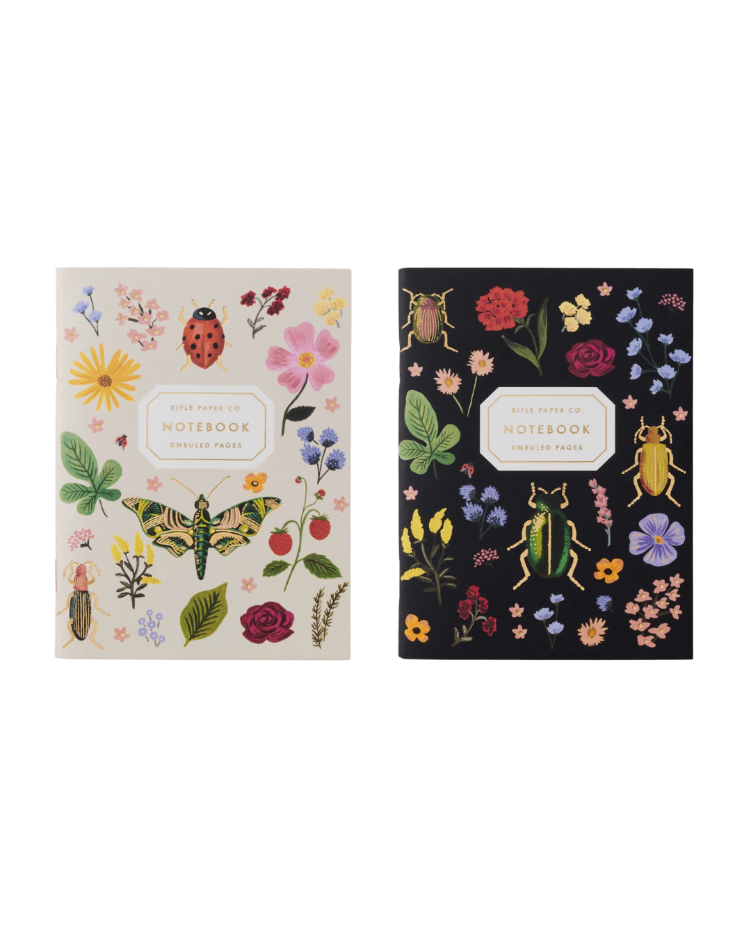 Set de Cuadernos Curio