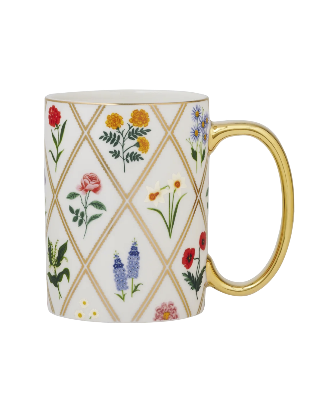 Taza Garden Study