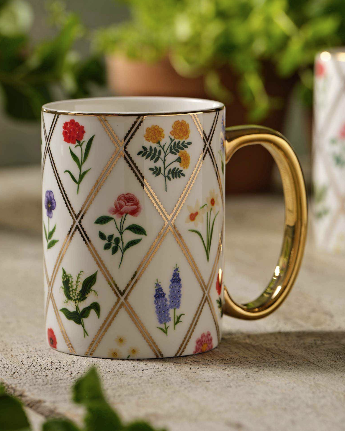 Taza Garden Study