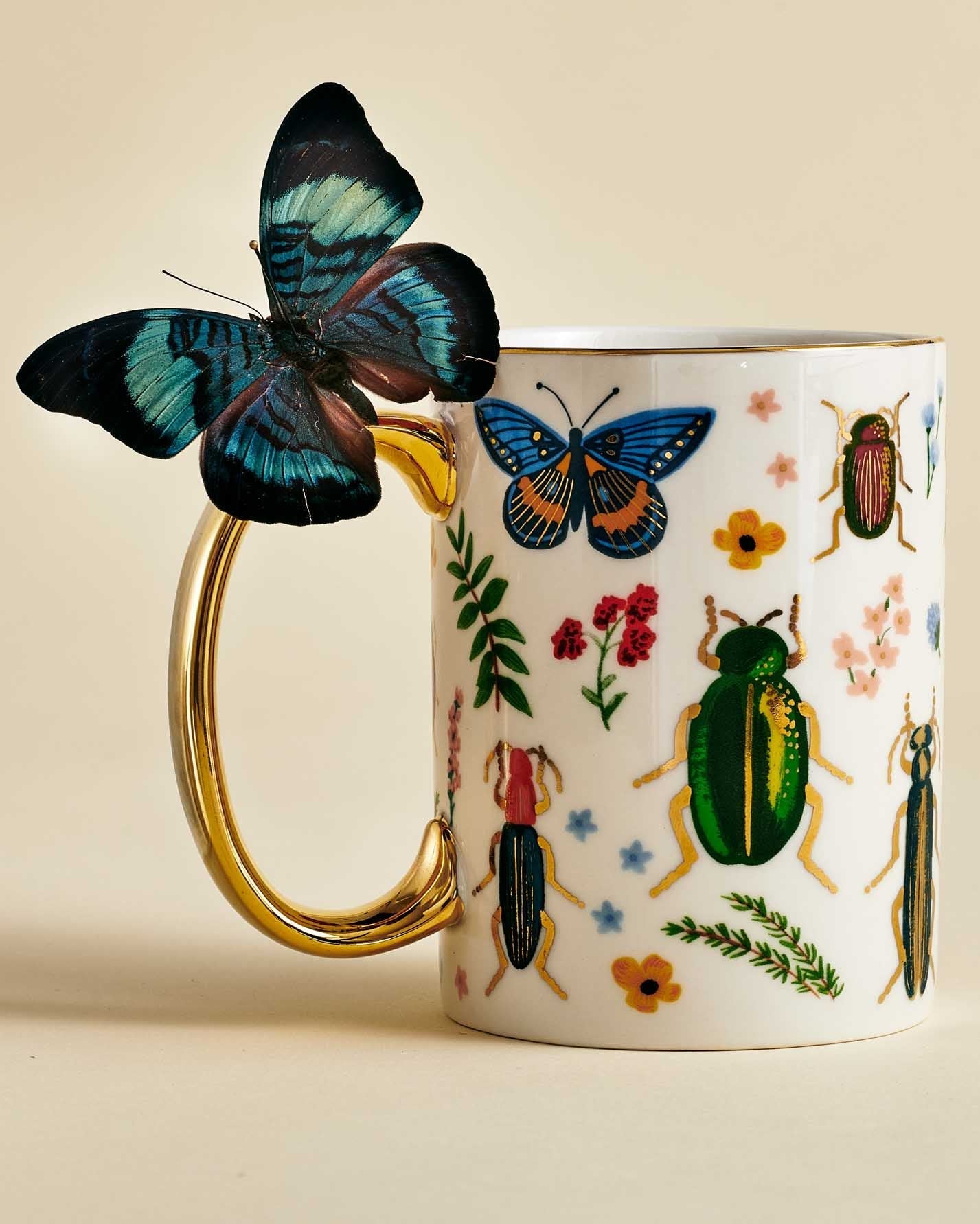 Taza de  Curio