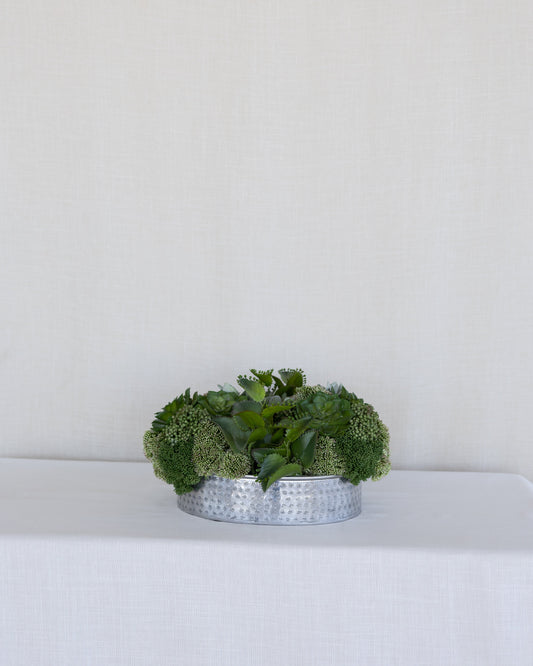 Arreglo de Suculentas